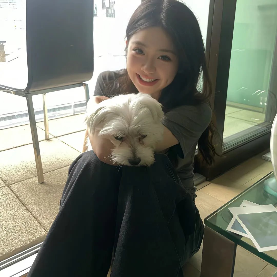 真假学园0木更津乱斗篇